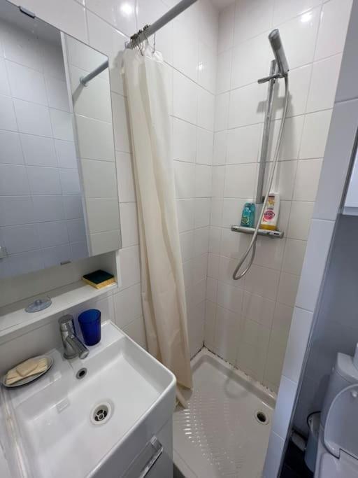 Votre Pied-a-terre En Plein Appartamento